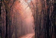 pg国际官网：CBA职业联赛？赵继伟李晓旭首发竟被弄错 隔夜仍不改专业性遭质疑.