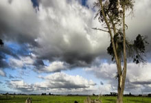 pg国际官网：[CBA]常规赛3月18日：浙江VS新疆 集锦.