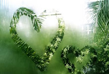 英超：切尔西击退狼队.